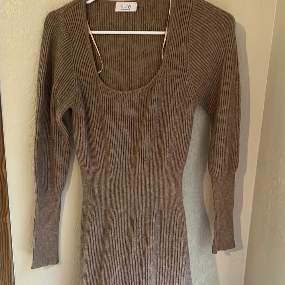 Bluivy Brown Long Sleeve Dress Elegant and Versatile - Picture 3 of 9